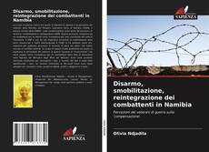 Bookcover of Disarmo, smobilitazione, reintegrazione dei combattenti in Namibia