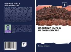 Обложка ПОЗНАНИЕ МИРА В ПАЛОМНИЧЕСТВЕ