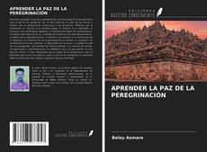 Bookcover of APRENDER LA PAZ DE LA PEREGRINACIÓN