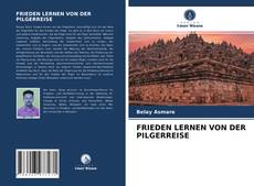 Couverture de FRIEDEN LERNEN VON DER PILGERREISE