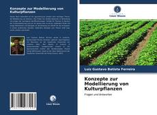 Couverture de Konzepte zur Modellierung von Kulturpflanzen