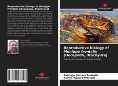 Portada del libro de Reproductive biology of Menippe frontalis (Decapoda, Brachyura)