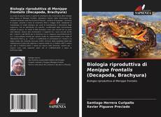 Biologia riproduttiva di Menippe frontalis (Decapoda, Brachyura) kitap kapağı