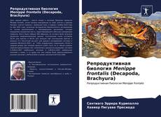 Репродуктивная биология Menippe frontalis (Decapoda, Brachyura) kitap kapağı