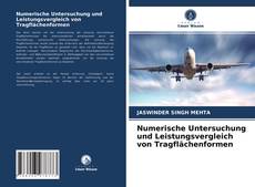 Numerische Untersuchung und Leistungsvergleich von Tragflächenformen的封面