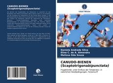 Capa do livro de CANUDO-BIENEN (Scaptotrigonabipunctata) 