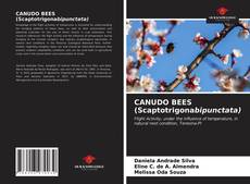 Portada del libro de CANUDO BEES (Scaptotrigonabipunctata)