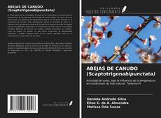 Bookcover of ABEJAS DE CANUDO (Scaptotrigonabipunctata)