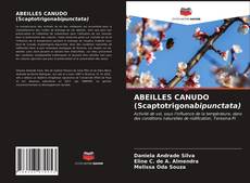 Copertina di ABEILLES CANUDO (Scaptotrigonabipunctata)