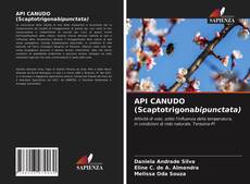 Bookcover of API CANUDO (Scaptotrigonabipunctata)