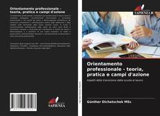 Orientamento professionale - teoria, pratica e campi d'azione kitap kapağı