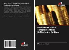 Due valute locali complementari: SoNantes e Galléco kitap kapağı