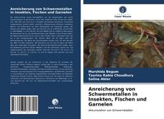 Anreicherung von Schwermetallen in Insekten, Fischen und Garnelen kitap kapağı