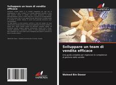 Sviluppare un team di vendita efficace的封面