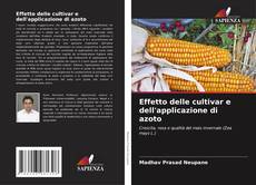Bookcover of Effetto delle cultivar e dell'applicazione di azoto