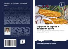 Buchcover von Эффект от сортов и внесения азота