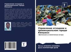 Обложка Управление отходами в провинциальном городе Киншаса: