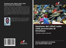 Gestione dei rifiuti nella città provinciale di Kinshasa: kitap kapağı