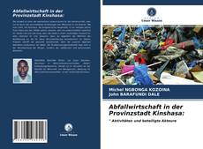 Capa do livro de Abfallwirtschaft in der Provinzstadt Kinshasa: 