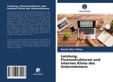 Capa do livro de Leistung, Finanzstrukturen und internes Klima des Unternehmens 