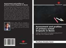 Copertina di Assessment and profiles of primary school dropouts in Benin