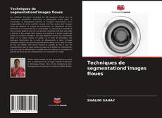 Couverture de Techniques de segmentationd'images floues