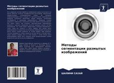 Couverture de Методы сегментации размытых изображений