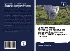Couverture de Сравнительное пастбищное поведение западноафриканских DWARF (WAD) и красных сокотов