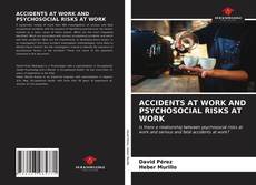 ACCIDENTS AT WORK AND PSYCHOSOCIAL RISKS AT WORK的封面