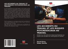 Copertina di LES ACCIDENTS DU TRAVAIL ET LES RISQUES PSYCHOSOCIAUX AU TRAVAIL