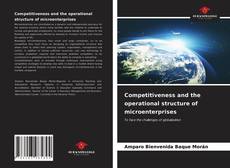 Competitiveness and the operational structure of microenterprises的封面