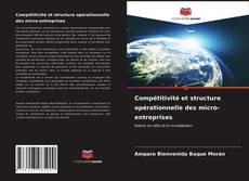 Couverture de Compétitivité et structure opérationnelle des micro-entreprises