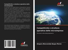 Competitività e struttura operativa delle microimprese的封面