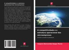Capa do livro de A competitividade e a estrutura operacional das microempresas 