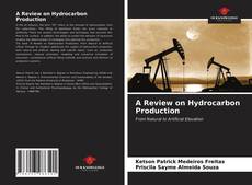 A Review on Hydrocarbon Production的封面