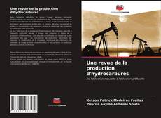 Copertina di Une revue de la production d'hydrocarbures