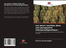 Copertina di Les peurs sociales dans une perspective interparadigmatique :