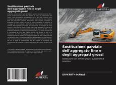 Copertina di Sostituzione parziale dell'aggregato fine e degli aggregati grossi