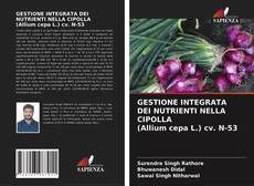 Copertina di GESTIONE INTEGRATA DEI NUTRIENTI NELLA CIPOLLA (Allium cepa L.) cv. N-53