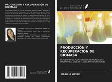 Capa do livro de PRODUCCIÓN Y RECUPERACIÓN DE BIOMASA 
