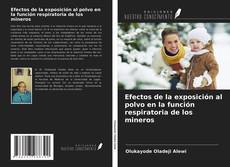 Copertina di Efectos de la exposición al polvo en la función respiratoria de los mineros