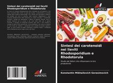 Copertina di Sintesi dei carotenoidi nei lieviti Rhodosporidium e Rhodotorula