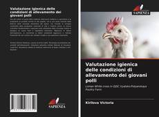 Valutazione igienica delle condizioni di allevamento dei giovani polli kitap kapağı