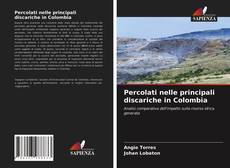 Percolati nelle principali discariche in Colombia kitap kapağı