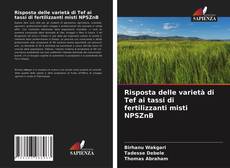 Copertina di Risposta delle varietà di Tef ai tassi di fertilizzanti misti NPSZnB