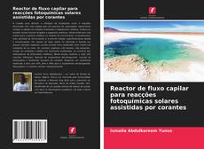 Capa do livro de Reactor de fluxo capilar para reacções fotoquímicas solares assistidas por corantes 
