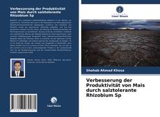 Verbesserung der Produktivität von Mais durch salztolerante Rhizobium Sp kitap kapağı