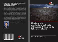 Migliorare la produttività del mais attraverso Rhizobium Sp tollerante al sale kitap kapağı