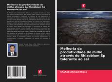 Melhoria da produtividade do milho através do Rhizobium Sp tolerante ao sal kitap kapağı