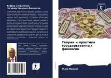 Теории и практики государственных финансов kitap kapağı